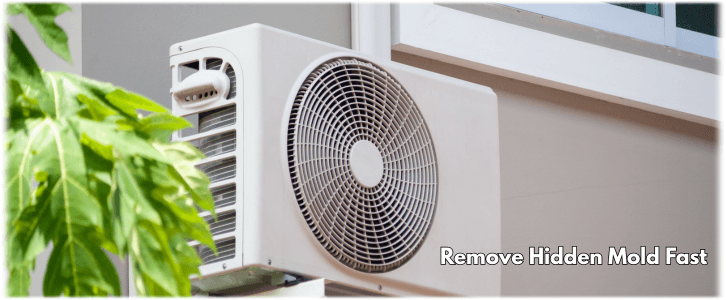 HVAC Mold Removal Marlborough MA